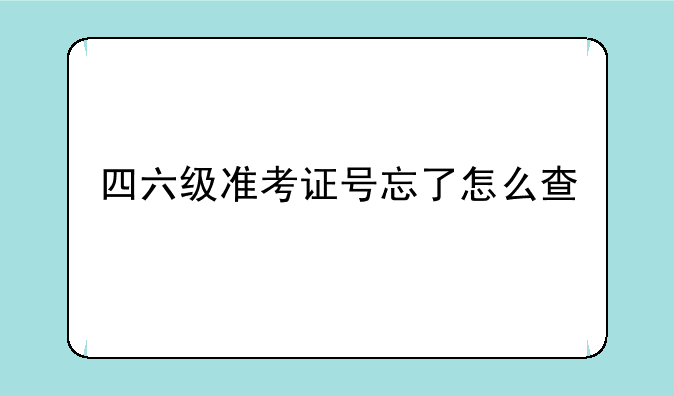 四六级准考证号忘了怎么查