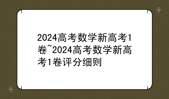 2024高考数学新高考1卷~2024高考数学新高考1卷评分细则