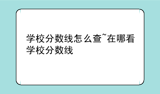 学校分数线怎么查~在哪看学校分数线